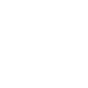 Endeavor-2