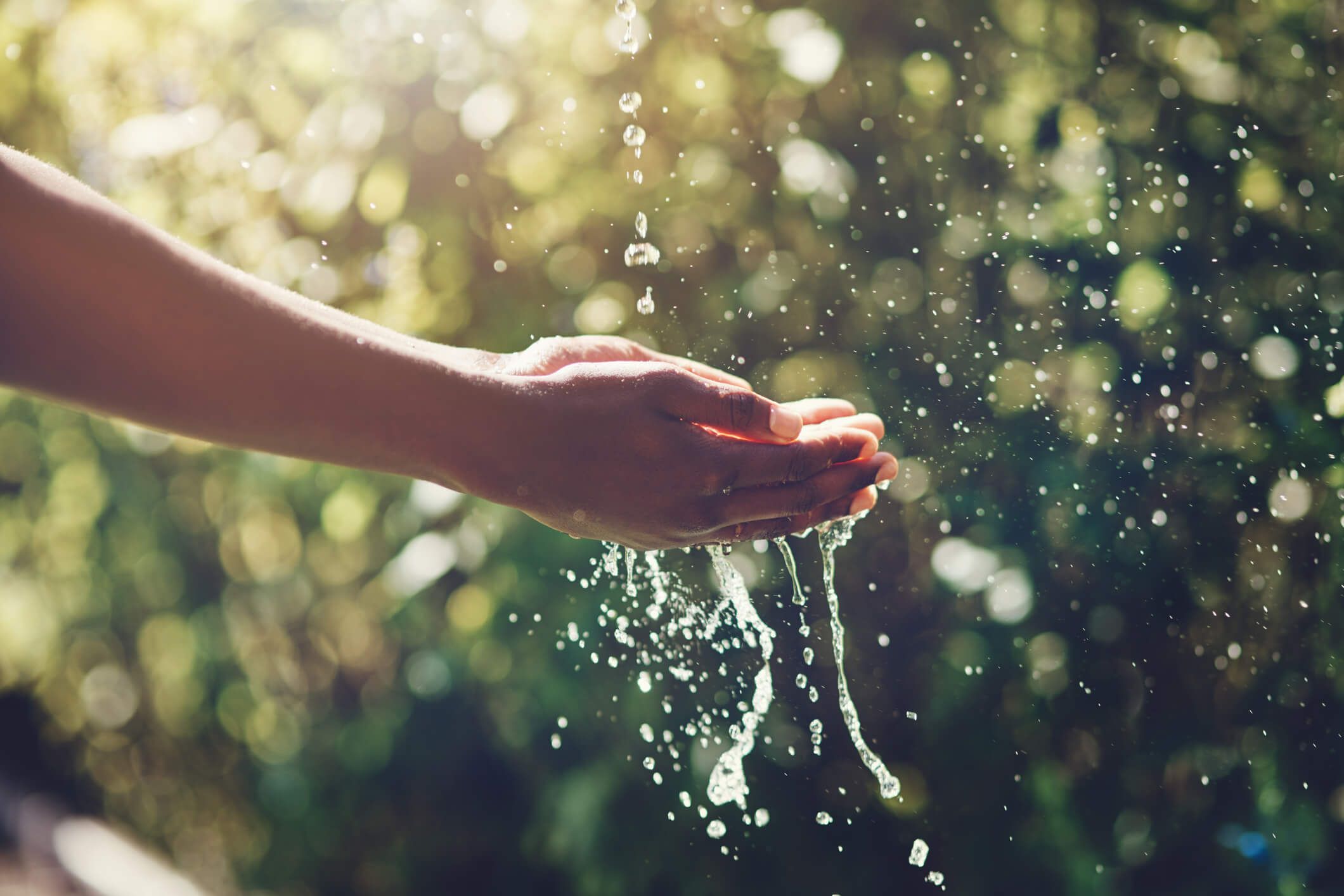 capa_evitar_desperdicio_agua